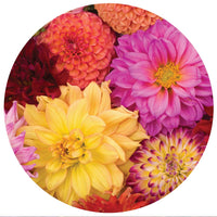 Cosmetics Mat | Spring Dahlia