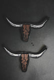 2 FLY DIY PATCH *longhorn