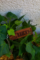 Ranchy Necklace